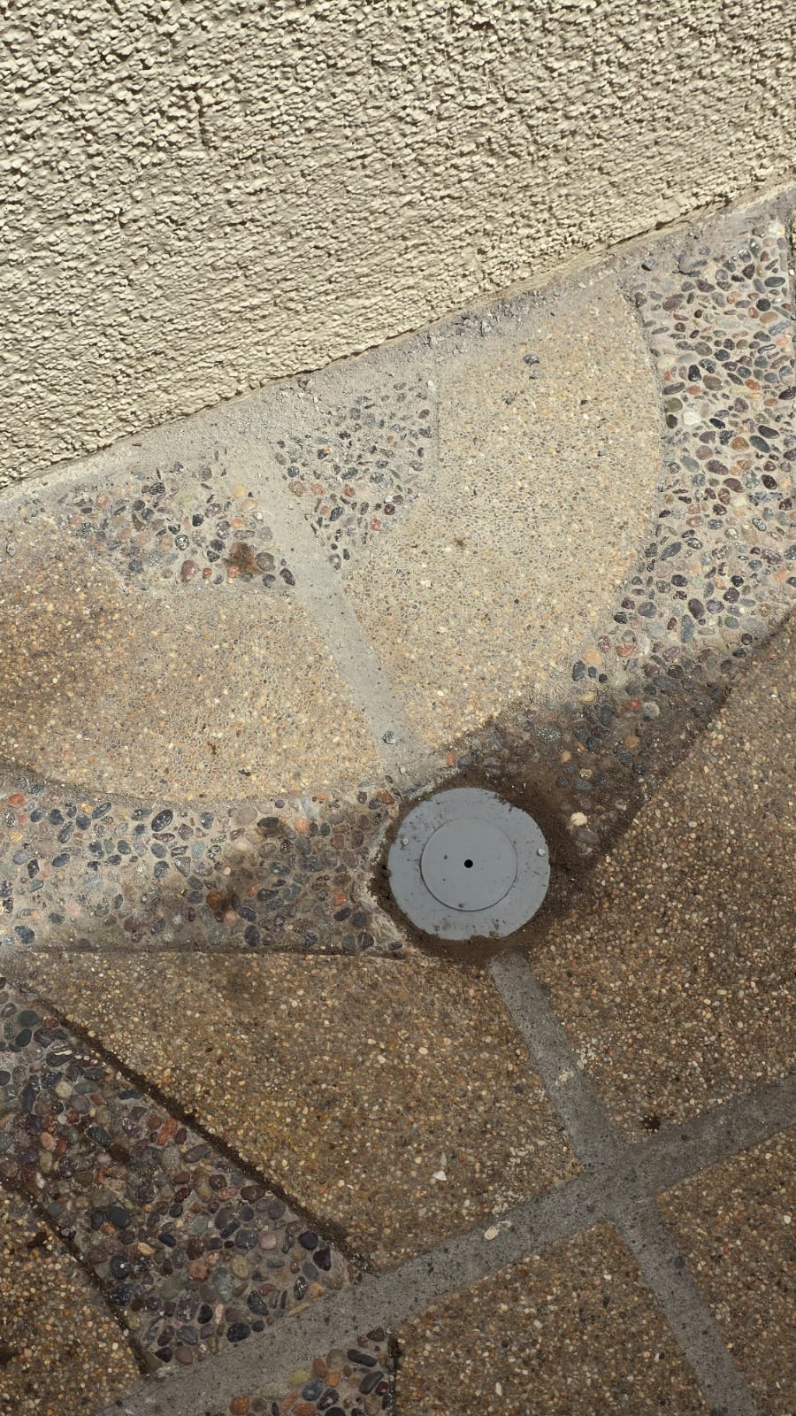 Estación de suelo para termitas subterráneas instalada en el pavimento junto a un muro