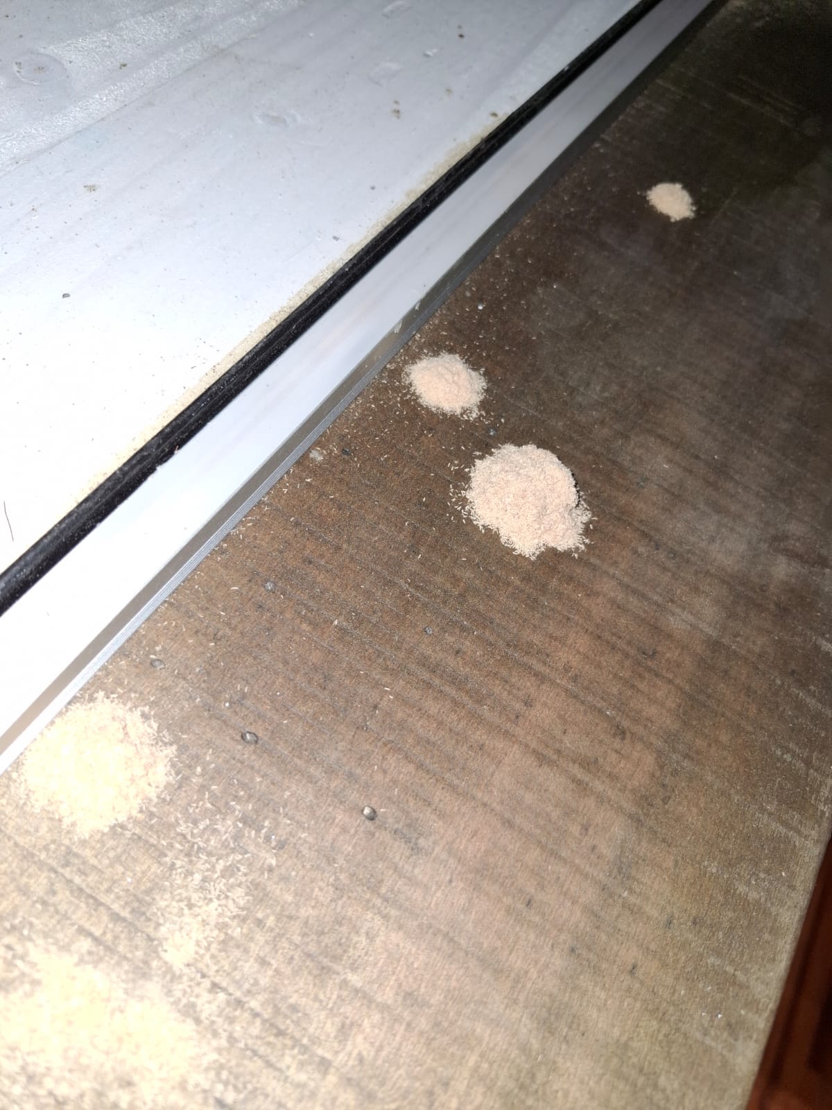 Montoncitos de polvillo fino, como harina, sobre madera afectada por carcoma